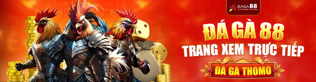 Sân đấu đá gà trực tuyến kịch tính tại rr998