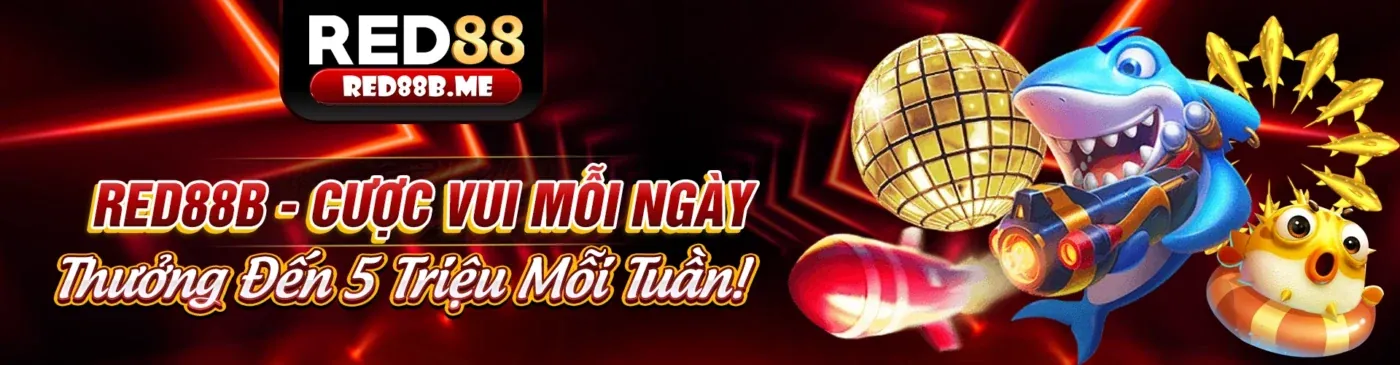 rr998 Đăng Nhập Điều Khoản Dịch Vụ